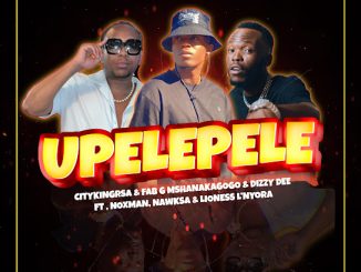 Citykingrsa - Upelepele Ft. Fab G MshanakaGogo, Dizzy Dee, Noxman, NawkSA & Lioness L'Nyora