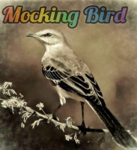 Luxury SA – Mocking Bird