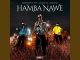 Masterpiece YVK – Hamba Nawe ft. Nkulee 501 & Skroef28