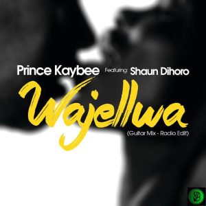 Prince Kaybee – Wajellwa ft. Shaun Dihoro