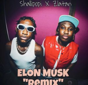 Shallipopi – Elon Musk Remix Ft Zlatan