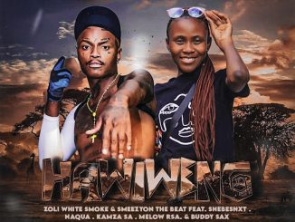 Shebeshxt – Hawiweng ft. Naqua SA