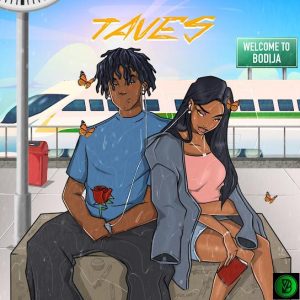 Taves – Folake