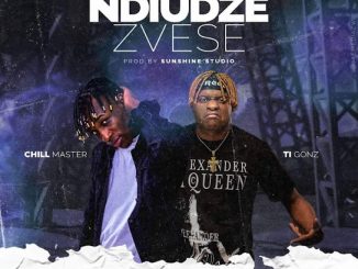 Chillmaster Music -Ndiudze Zvese ft. Ti Gonzi