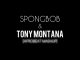 DJ EXPERIENCE - Spong Bob & Tony Montana (Afrobeat Mashup)