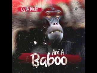 DJ YK Mule - Am A Baboo