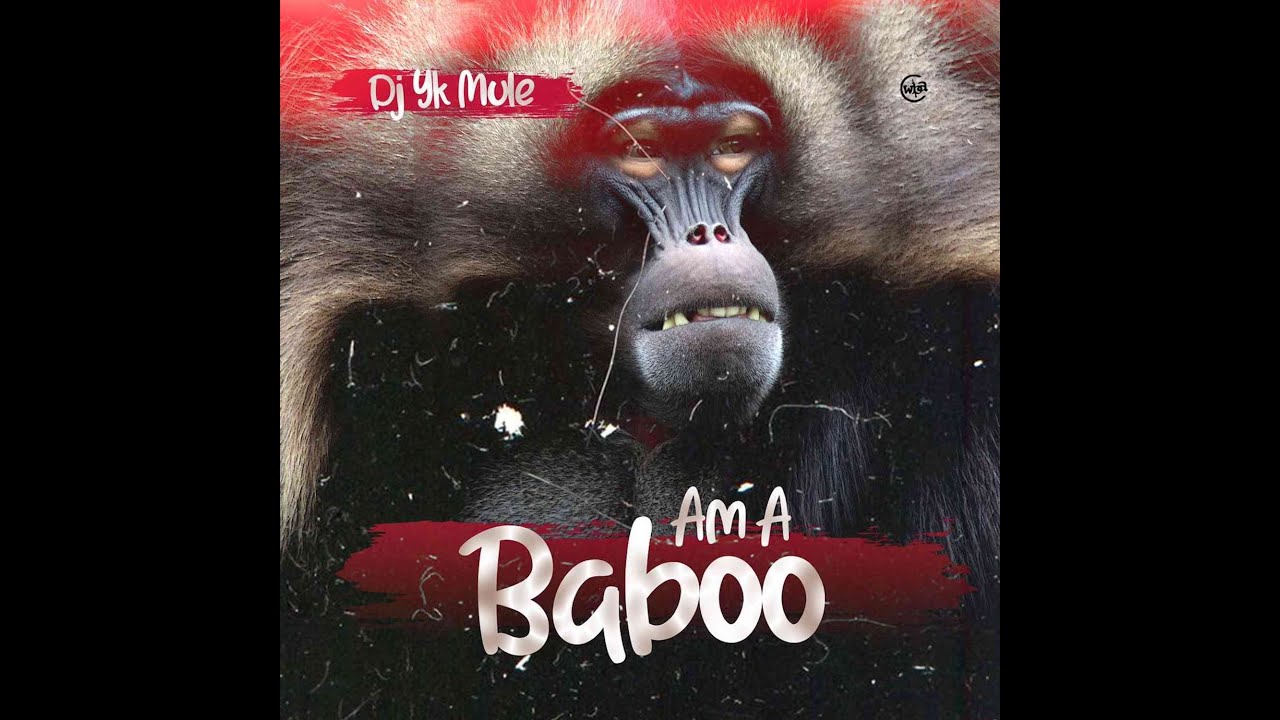 DJ YK Mule - Am A Baboo