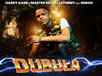 Dubula Nyusa, HarryCane, Master KG -  ft. DJ Latimmy Feat.Eemoh