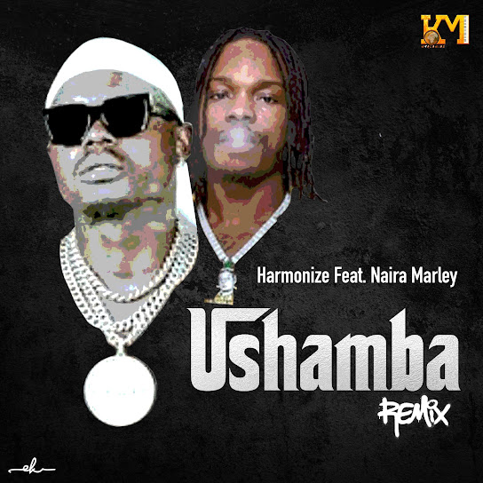 Harmonize – Ushamba [Remix] ft. Naira Marley