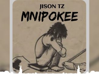 Jison Tz - Mnipokee