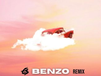 Malcolm Nuna - Benzo ft. Eazi Money