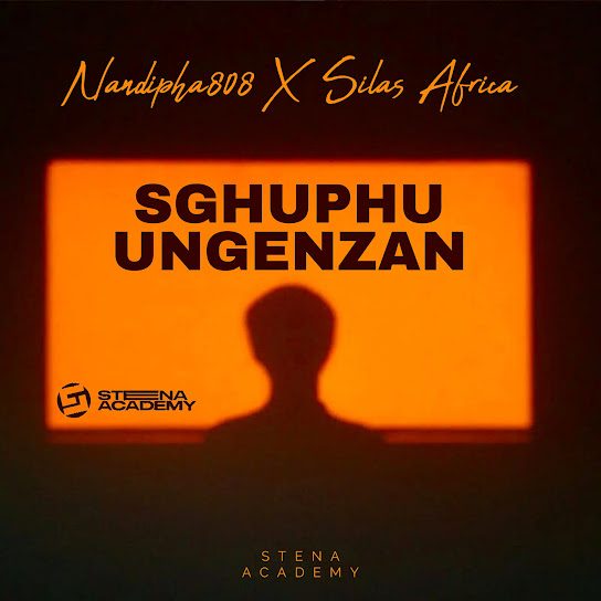 Nandipha808 - Sghuphu Ungenzan Ft. Silas Africa