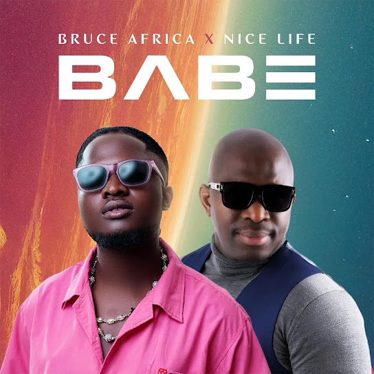 Nice Life - Babe ft. Bruce africa