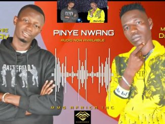 Pinye Nwang_Fiek Monie –  ft. Mighty Daga