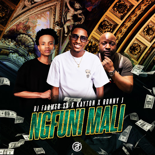 Ronny J Drizz - Ngfuni Mali Ft. DJ Farmer, Cloud9ne & Kayton