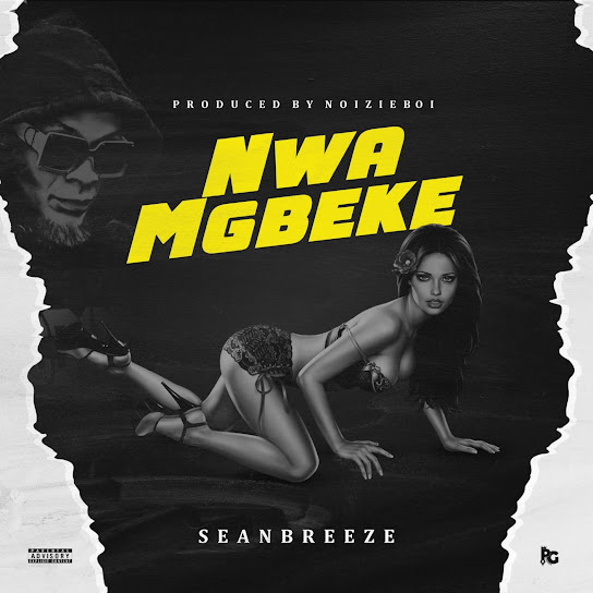 Seanbreeze - Nwamgbeke