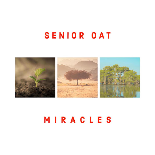 Senior Oat - Faithful Melody ft. Jay Sax