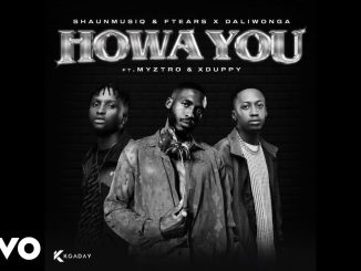 Shaunmusiq - Howa You ft. Ftears , Daliwonga