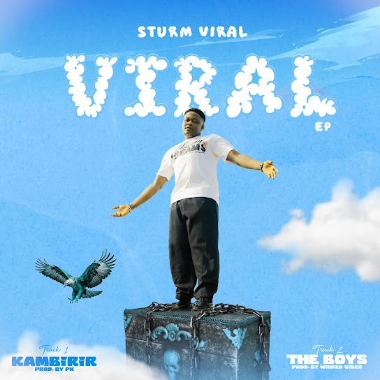 Sturm viral - The boys