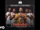 Thee Legacy – Thando ft. DJ Maphorisa & Mlindo The Vocalist