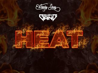 Wendy Shay – Heat ft. Shay Gang