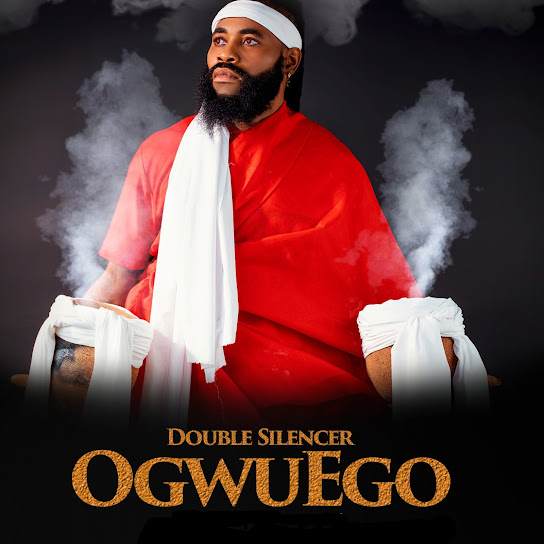 Double Silencer - Ogwu Ego (Cover)