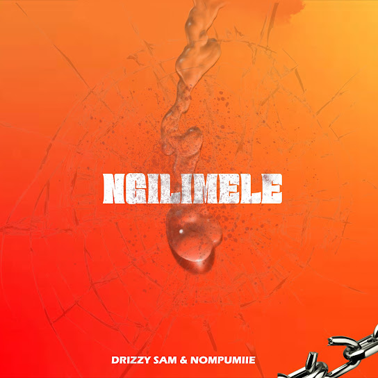 Drizzy Sam (RSA) - Ngilimele ft. Nompumiie