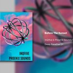 InQfive - Before The Sunset ft. Phoenix Sounds feat.Nakiso & Nakiso