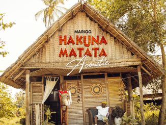 Marioo - Hakuna Matata (Acoustic) (Prod. S2kizzy)