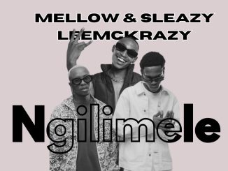 Mellow - Ngilimele ft. Sleazy & Leemckrazy