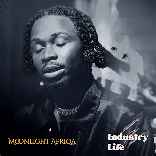 MOONLIGHT AFRIQA - Industry Life