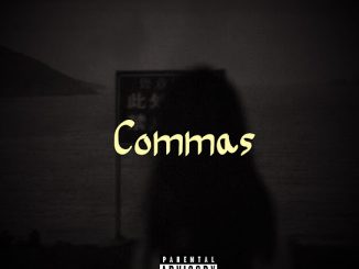 Savage Timm - Commas