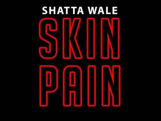 Shatta Wale - Skin Pain