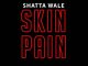 Shatta Wale - Skin Pain