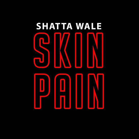 Shatta Wale - Skin Pain