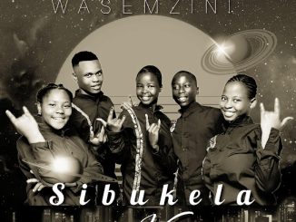 Shuni waseMzini - Sibukela kini