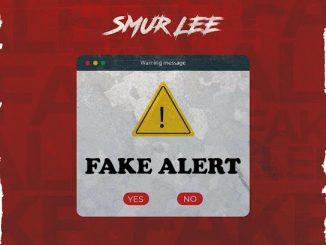 Smur Lee - Fake Alert