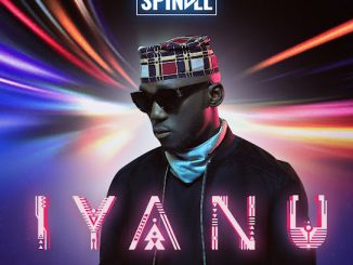 SPINALL - Your DJ ft. Davido