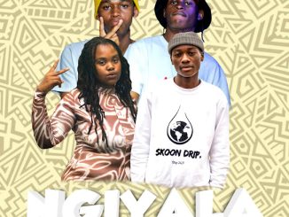 The Cool Guys – Ngiyala ft. Lulow_RSA & Ndlu Nkulu