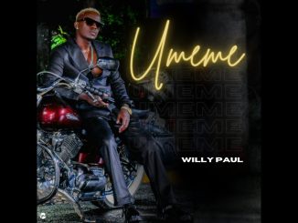 Willy Paul - Umeme