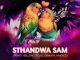 2point1 – Sthandwa Sam ft. Bello M, Epic DJ, Seneath & X-Morizo