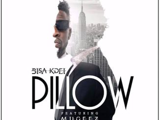 Bisa Kdei - Pillow ft. Mugeez