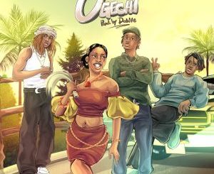 Brown Joel – Ogechi  Remix ft. Davido, BoyPee & Hyce