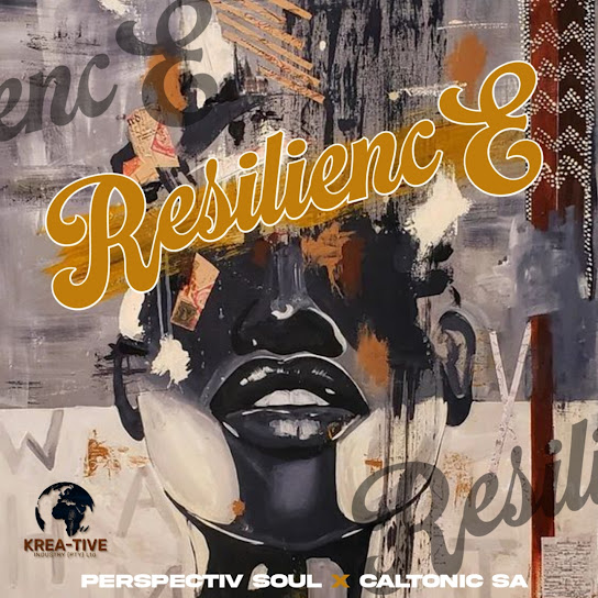 Caltonic SA - Iparty ft. Perspectiv Soul & B33kay SA