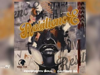 Caltonic SA - Thandile Ft. Perspectiv Soul & Snenaah