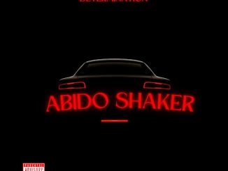 Determination - Abido Shaker