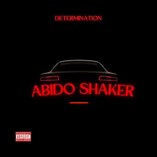 Determination - Abido Shaker