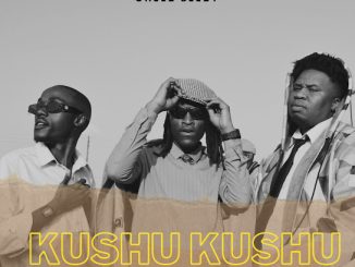 DJ Manzo SA - Kushu Kushu 3 Step Remix ft. Cheez Beezy & Tumisho