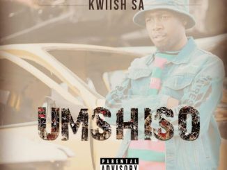 Kwiish SA - LiYoshona ft. Malumnator, Njelic & De Muthada