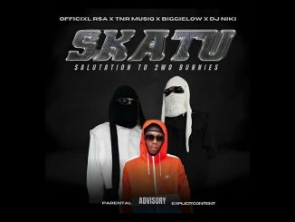 Officixl Rsa - Skatu ft. T&RMusiq, Biggey Low & Dj Niki